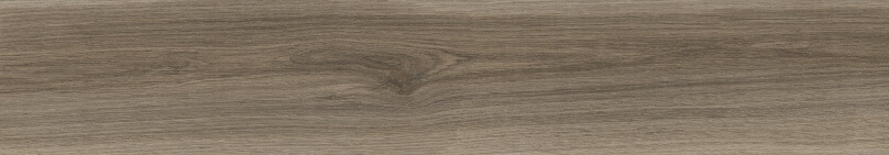 BARKLEY CAMEL 20x120 RECT.